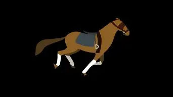 香港马会动画玄机视频-揭秘香港马会动画：传统与现代的奇妙融合