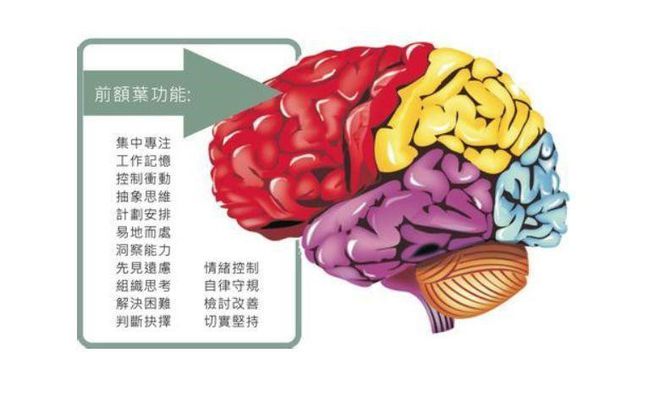 脑年龄测试游戏版_大脑年龄测试游戏_脑龄测试小游戏