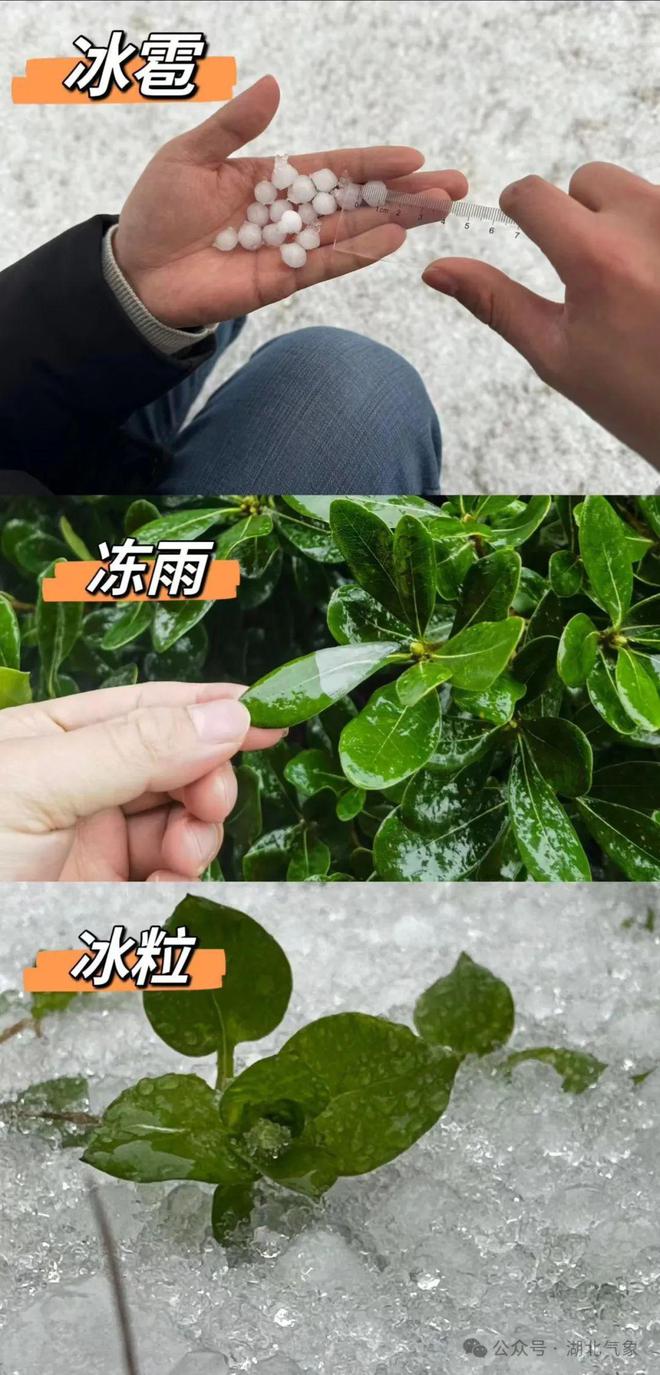 卸载暴雪平台游戏怎么卸载_卸载暴雪平台游戏还能玩吗_暴雪游戏平台卸载不了