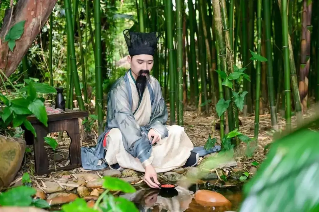 细作娘子攻略观看_细作娘子游戏过程观看_在观看动物区视频过程