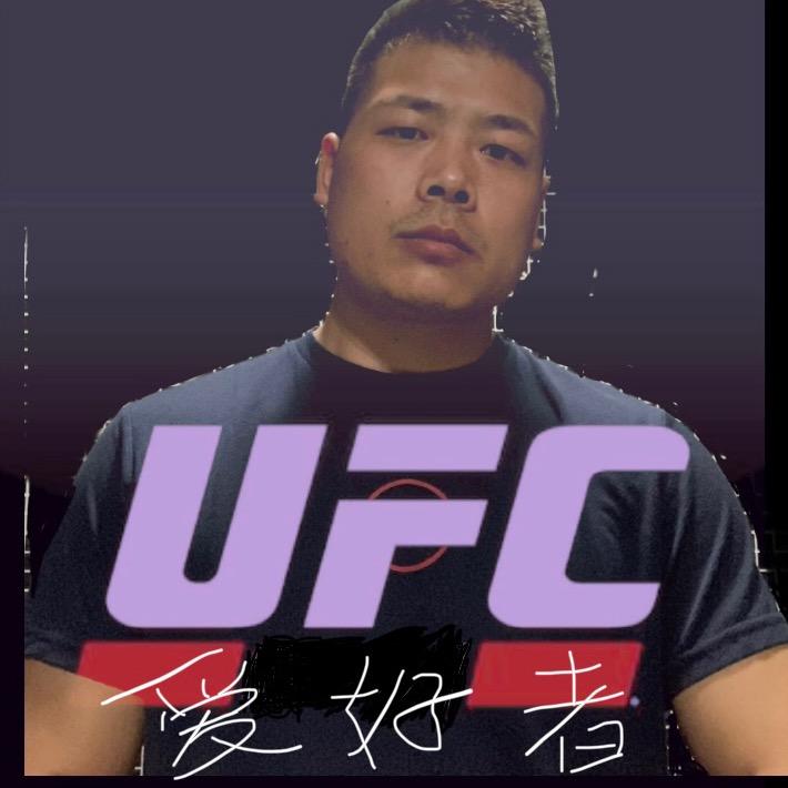 破解版游戏_ea sports ufc破解版_破解版游戏盒子大全