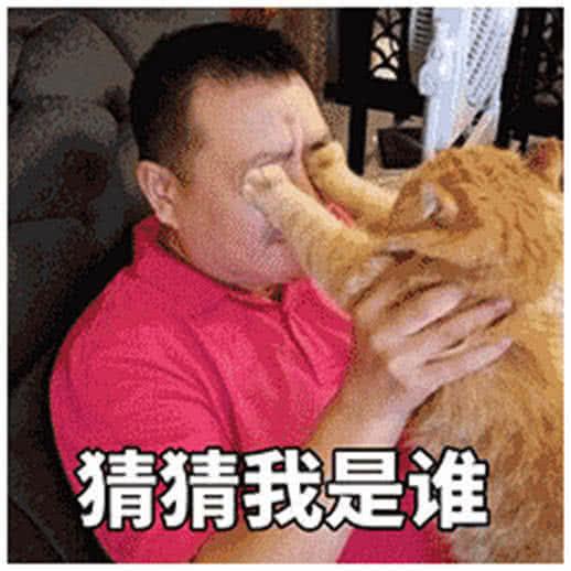 猜谜桌游_猜猜我是谁桌游_桌游里猜词语的是什么游戏