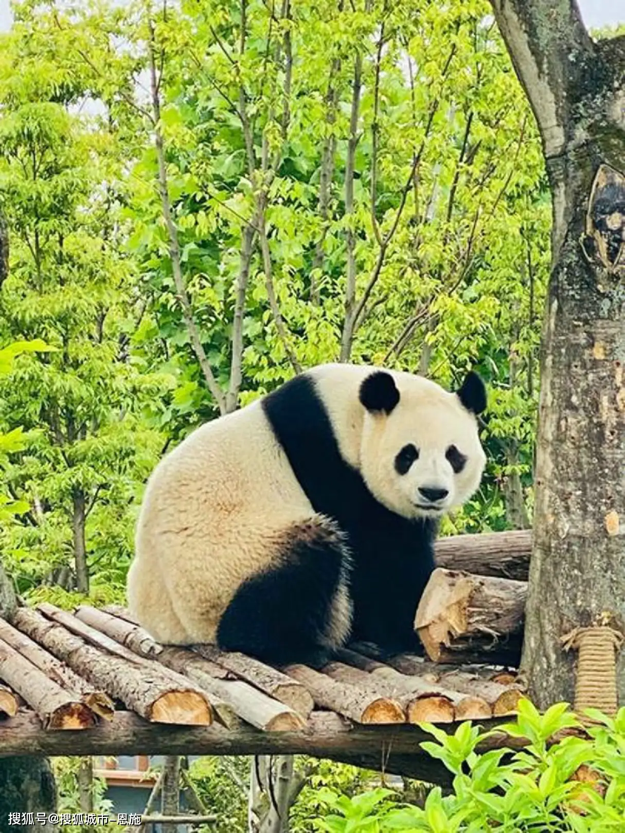 槐房大玩家游戏币团购_长春大玩家团购_长春大玩家团购游戏币