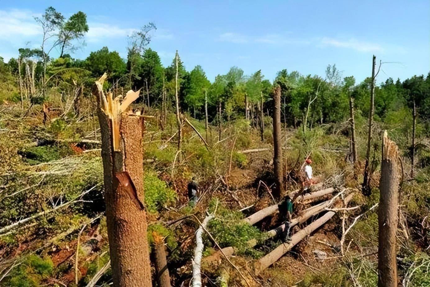 牛屁导致爆炸_放屁点火会爆炸视频_牛屁点燃后爆炸