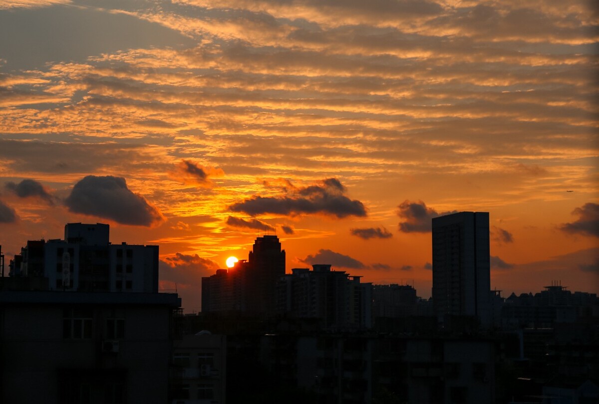 手指谣毛毛雨教案_毛毛雨手指律动教案_手指摇《毛毛雨》教案