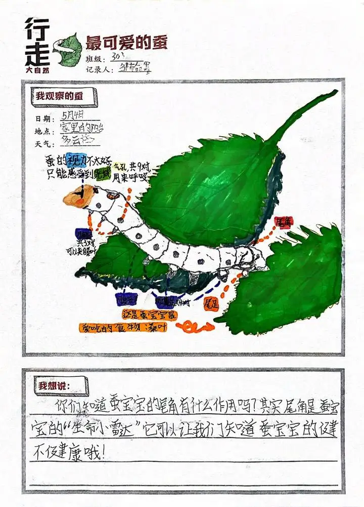 电子电路图绘制软件_画电子电路图的软件_绘制电子电路图用什么软件