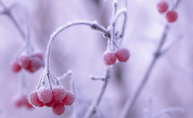 已到锁死期_到了锁死期还可以清卡吗_锁死期是什么意思