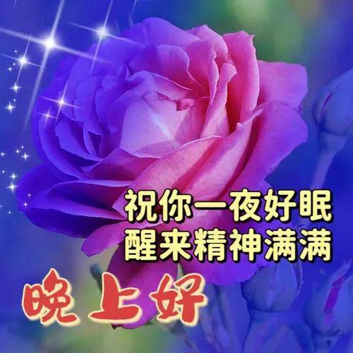 月夜茶会游戏_月夜茶会高清原图主题_月夜茶会人物名字