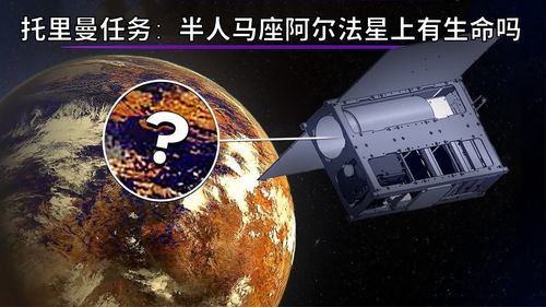 阿尔法星