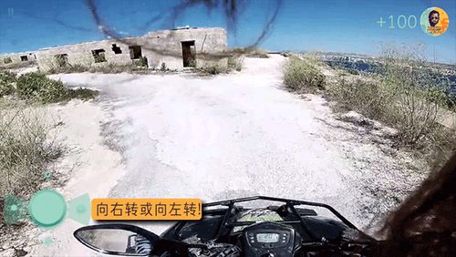 通缉者 