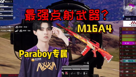 王牌选手游戏 