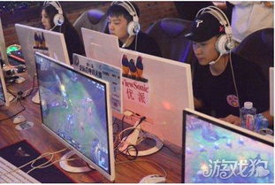 游戏电竞狗,揭秘游戏电竞领域的忠诚伙伴与竞技精神