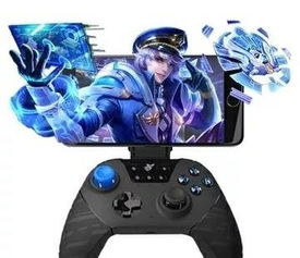 忍者武士刀忍者武士刀 
