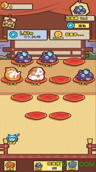 养猫达人抖音小游戏 养猫达人抖音小游戏