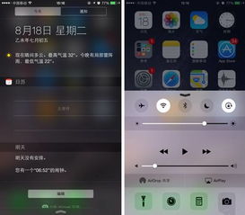生存还是死亡 