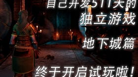 独自开发游戏,我的独立游戏开发之旅