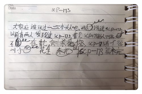 玩游戏日记100字,我的100字游戏日记回顾