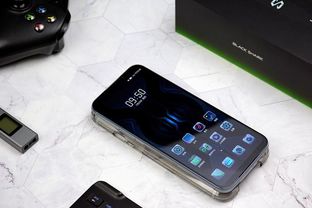 交易者游戏模拟器游戏安卓版下载 